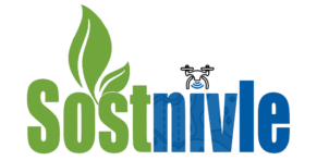 Logo Oficial Sostnivle